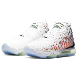 Nike LeBron 17 - Confort Premium Endurance