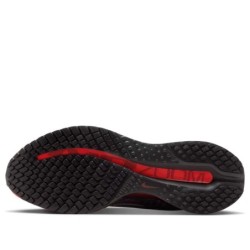 Nike Pegasus Premium - Plaisir Performance