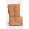 UGG Classic Short II 1016223 | Bottes Femme